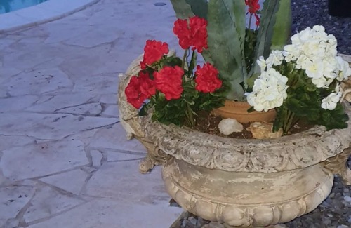 Alberobello Villa | "Villa Tina" - VILLA Y ENTRE TRULLO mandorli y oliva - Servicios Salas -Cómodo