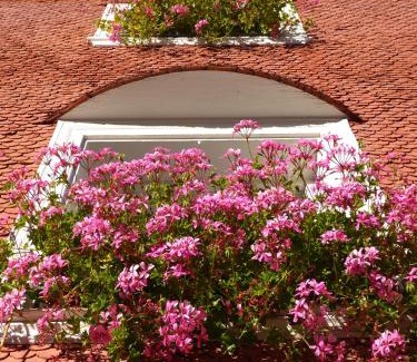 Villabassa Casa | Villa Vidal