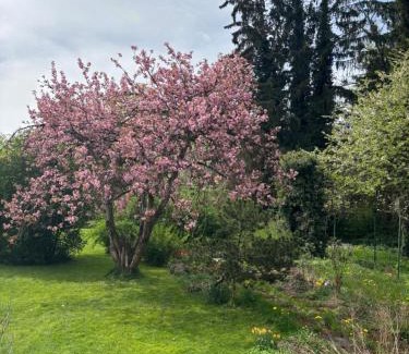 Laufen Apartamento | Villa Vilma Antica