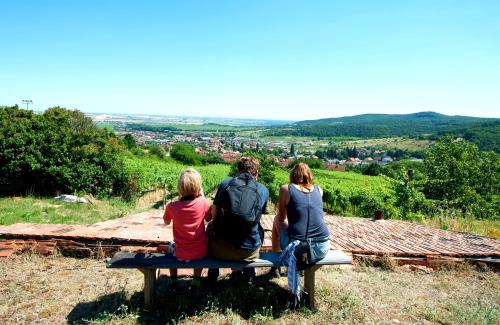 Limbach Cama Y Desayuno | Villa Vinica