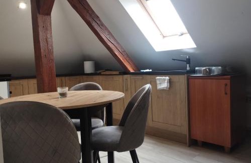 Gniezno Apartamento | Villa Vip-pokoje,śniadanie, Apartament