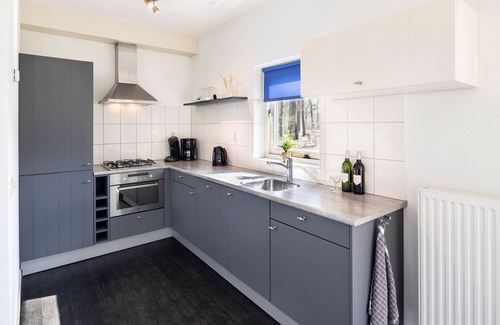 Ruinen Villa | Villa con solarium nr Hoogeveen