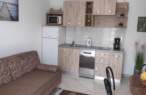 Zrce Apartamento | Villa with pool Petra & Sanja