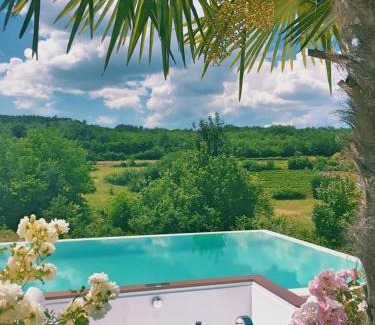 Rakotule Villa | Villa Zvonar near Motovun with large pool and whirlpool