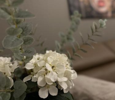 Villach Apartamento | Villach City Comfort Suite