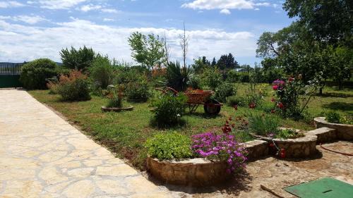 Sibenik Casa | Village House Fafarinka - close to Krka National Park