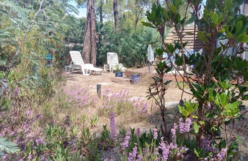 Grayan-Et-L'Hopital Casa | Village Naturiste Euronat Grayan Bungalow Studio A 800 M DE L Ocean