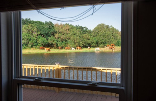 Bertram Casa | Hill Country Farm Stay