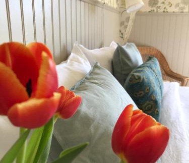 Gamla staden Cama Y Desayuno | Villamilsten B&B