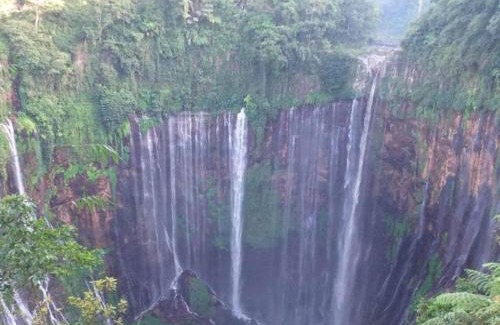 Klojen Cama Y Desayuno | villas in batu indonesia homestay