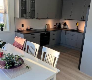 Vesteralen Apartamento | Villaveien