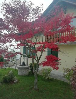 Foza Apartamento | Villetta di montagna
