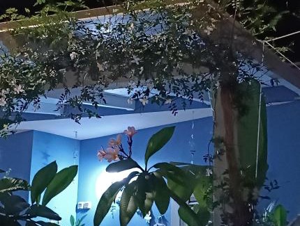 Casuzze Casa | "Villetta tra Mare e Barocco"