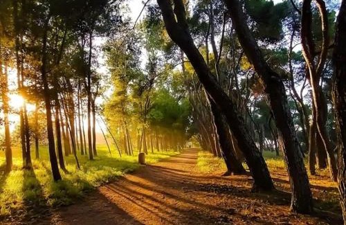 Pineto Apartamento | Villino Di Girolamo