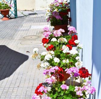 Marina di Pisa Casa | Villino La Perla Azzurra- Marina di Pisa
