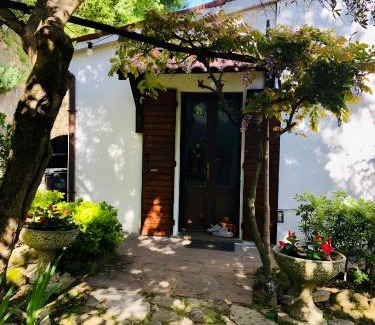 Albettone Casa | Villino San Silvestro