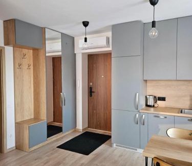 Vilnius city municipality Apartamento | Vilniaus apartamentai