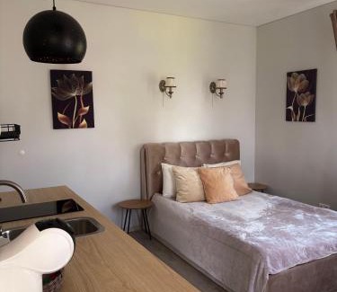 Anyksciai Apartamento | Vilties vila