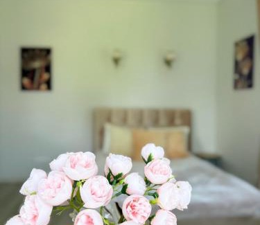 Anyksciai Apartamento | Vilties vila