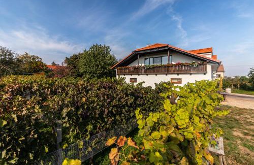 Mikulcice Casa | Vinařství Výmola