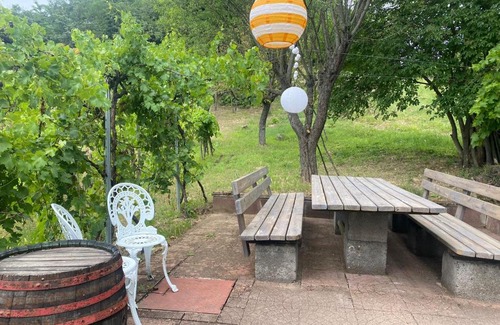 Kaptalantoti Apartamento | Vine Cottage
