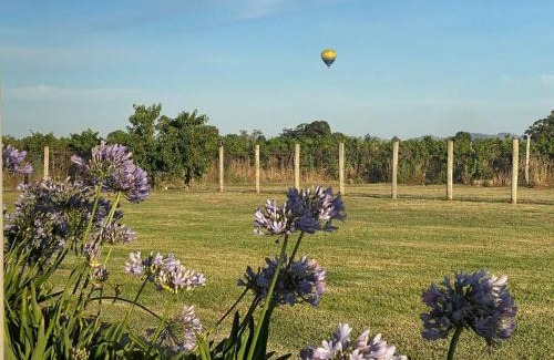 Eurunderee Casa | 'Vineyard Cottage' A Golden Escape among the Vines