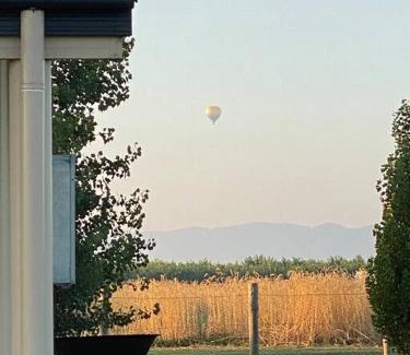 Eurunderee Casa | 'Vineyard Cottage' A Golden Escape among the Vines