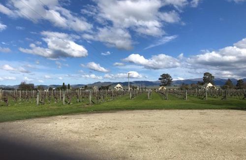 Renwick Cabina | Vineyard Cottage in Blenheim on the Golden Mile