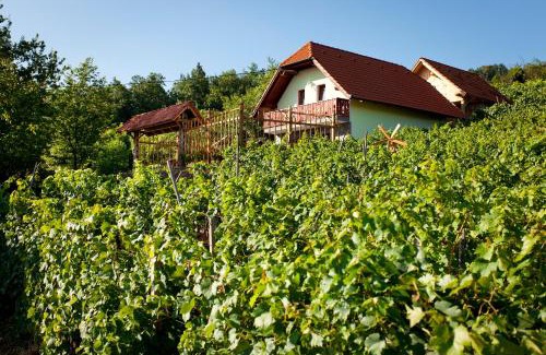Trska Gora Casa | Vineyard Cottage Lustek