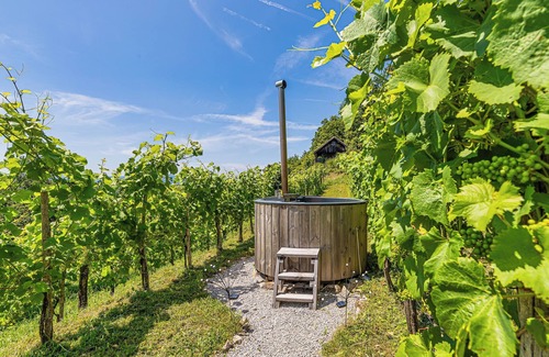 Srednje Grcevje Casa | Vineyard Cottage Pavlin 3, Otočec, Slovenia