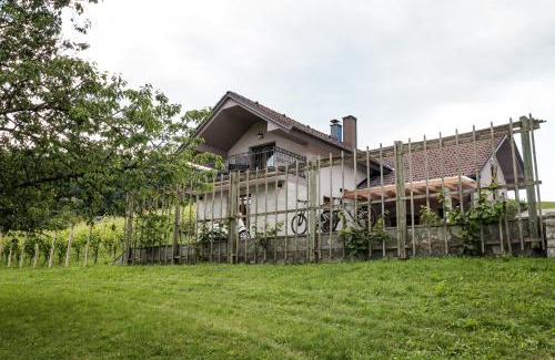 Gorenja Vas pri Smarjeti Apartamento | Vineyard cottage Radulja