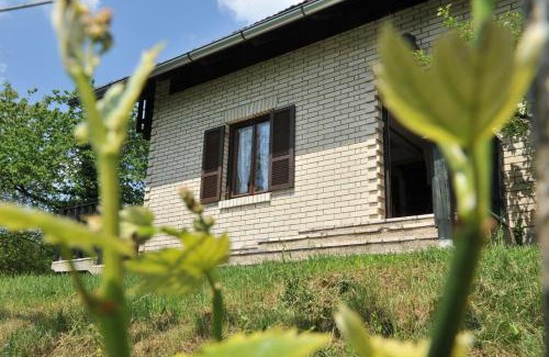 Smarje pri Jelsah Casa | Vineyard Cottage Vrbek