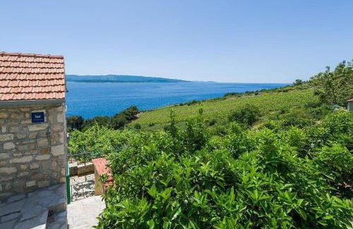 Murvica Casa | Vineyard Cottages - Murvica (146)