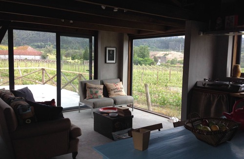Mosteiro Cabaña | Vineyard Country House / 30 km Porto / ubicado en una granja de Vinho Verde
