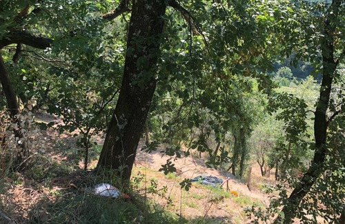 Masero Apartamento | vino passito