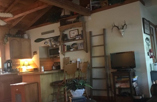 Hawkins Cabina | Vintage Fish Camp Cabin Sleeps 4 ¡Uso GRATUITO de kayak, canoa y bicicleta! ¡RESERVANDO LA CAÍDA!