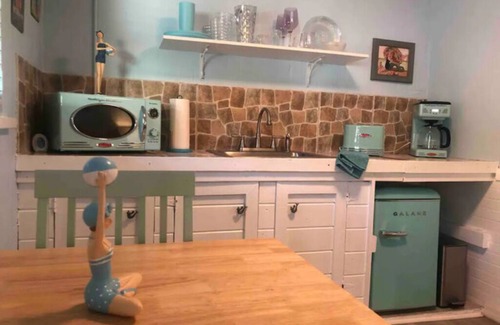 Brooksville Apartamento | Vintage Mermaid - Neptune's Grotto Old Florida Adventure Retreats