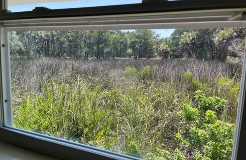 Brooksville Apartamento | Vintage Mermaid - Neptune's Grotto Old Florida Adventure Retreats