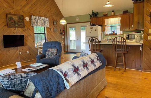 Hiawassee Cabina | Violet Cabin - Beautiful Mountain View, Rustic Charm w/ Jacuzzi & Wood Fireplace