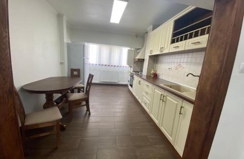 Buzau Apartamento | Violetta Apartament