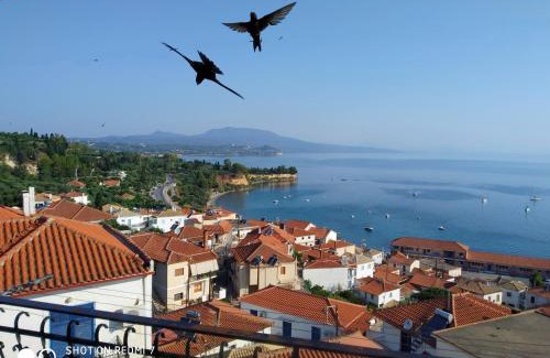 Koroni Casa | Violetta Rooms