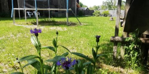 Weischlitz Otro | VIP-Camping, zelten im Garten