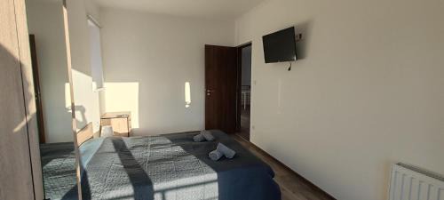 Balatonszarszo Casa | Virág Vendégház Balatonszárszó