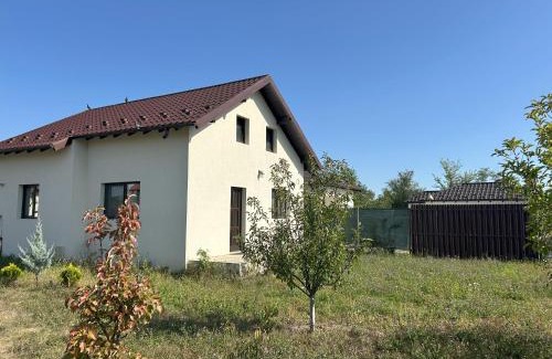 Mioveni Casa | Viraj