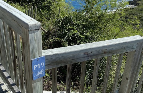 Johnson Bay Complejo | Virgin Island’s National Park Loding at Concordia Eco Resort
