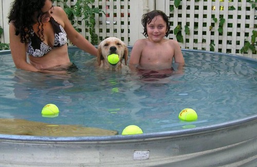 Wallingford Casa | Visita- Stayinvermont. org - Horse Show- Pet Friendly - Cerca de todo