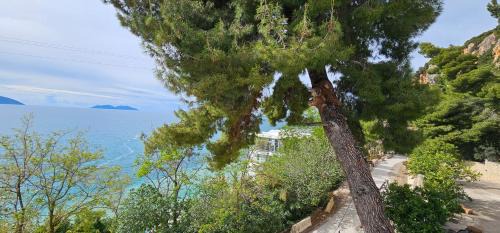 Orikum Hotel | Vista Maris Hotel