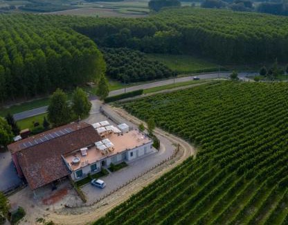 Diano d'Alba Casa | Vitae di Langa