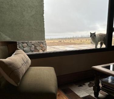 Tupungato Hotel | Vivacs del Plata