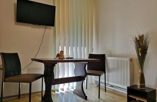 Cluj-Napoca City Centre Apartamento | Vivaldi Studios